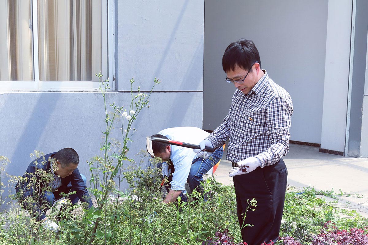 江蘇工廠廠區清掃